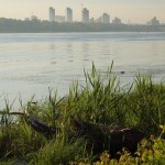 ��� �� �� �������