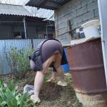 ������ �����.