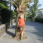 ��������� ���� �������