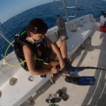 ������ �������