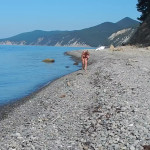 ����� �������� �� ������