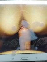 �� ������� ���� ztuztu