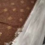 ����� ���� ������ ������