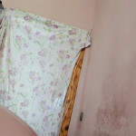 ������� ����