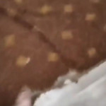 ����� � �����