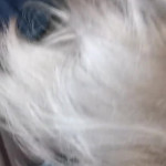 ����� ������� ������