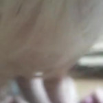 ����������� �����.3