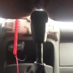 ����� ������� ����� �������