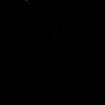 ������� ����� ��������