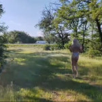 ��������� � ������