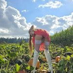 � ���� � ������