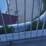 ���� ������