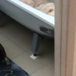 ���� �����