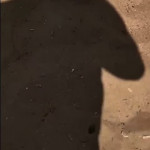 �� ����� ���������