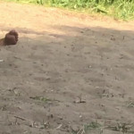 ��������� ��������� �� �����