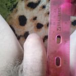 ����� �������� ������ ������