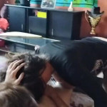 ���� ������� ���������