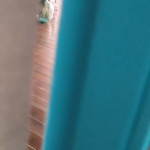 ������������� ��� ���� ���������� ��������