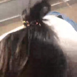 ����� � �����������