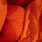 �������� ����������