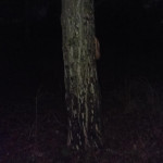 �������� �� ��������� ����� 3