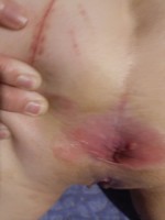 �������� ����