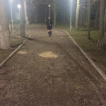 ������ �������