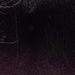 �������� �� ��������� ������������