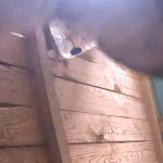 ������� ������ � ������������ ������� 5