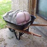 ������ ��������� � �����