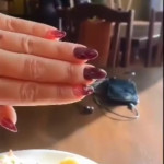 ������� �������� �������������� 3