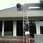 ���� �������