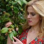 ��������� �����