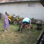 ����������� ������������ ����������