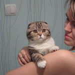 ��� �� ������������ �������