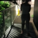 ��� ���������� � �����.