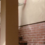 ������������ ���������� 1970-� �����