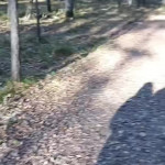 ����� � �����