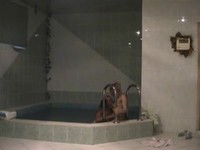 � ����� � ������������ ������� ������