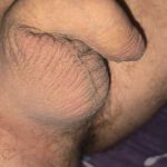 ���� ����� �����