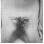 ��� ������