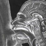 ���� ����� �������...