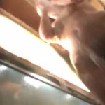 ����� � ����