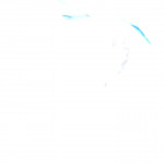 ������� ���� �� ����