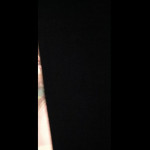 ����� ���� 7