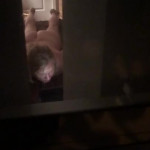 ����� ���� 9