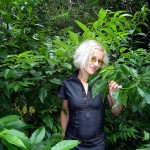 ����� ������� ������, ����� ������� �������