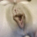 ������������������ ����������