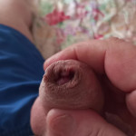 ��� ����������