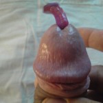 ���� � ������